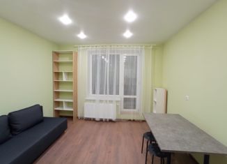 Сдается в аренду квартира студия, 23.7 м2, Санкт-Петербург, улица Фёдора Котанова, 5к2, ЖК Звёзды Столиц