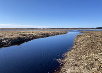 Продажа земельного участка, 16 сот., посёлок Каменники