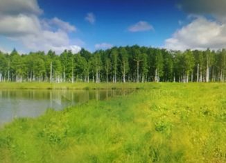 Продается дом, 50 м2, деревня Аракчина, Центральная улица, 22