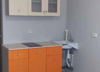 Квартира в аренду студия, 25 м2, Пермь