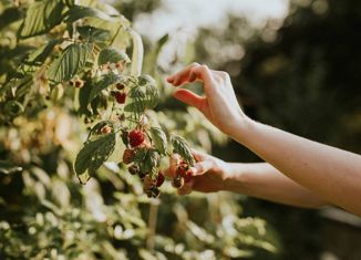 Продаю участок, 13.2 сот., коттеджный посёлок Волжские рассветы