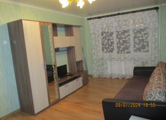 Продаю 2-комнатную квартиру, 45 м2, Сланцы, улица Гагарина, 13