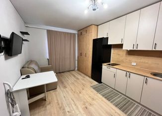 Продажа квартиры студии, 17.4 м2, Томск, Таймырский переулок, 16А