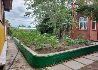 Продаю дом, 70 м2, СПК Победит-1, 17-я линия, 1