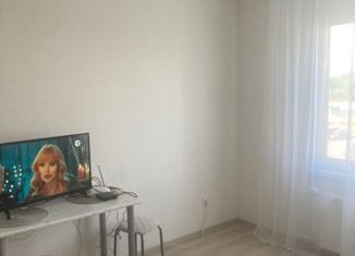 Продается квартира студия, 19.9 м2, посёлок Мичуринский, улица Евгения Савкова, 46