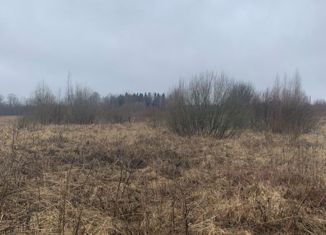 Продажа участка, 15 сот., деревня Новоселицы, Центральная улица