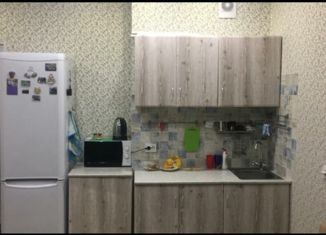Квартира в аренду студия, 29 м2, Новосибирск, улица Кирова, 236, метро Речной вокзал