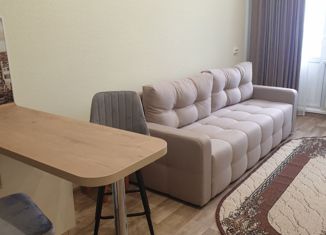 Квартира на продажу студия, 25.9 м2, Кемерово, ЖК Кузнецкий, Пролетарская улица, 29/3