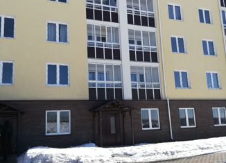 Продается однокомнатная квартира, 31.4 м2, сельский посёлок Новинки, 2-я Дорожная улица, 17