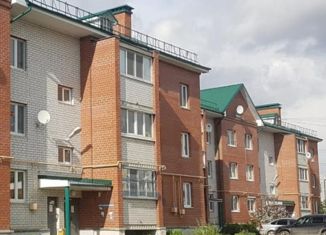 Сдам в аренду 1-ком. квартиру, 34 м2, село Патруши, Тепличная улица, 2