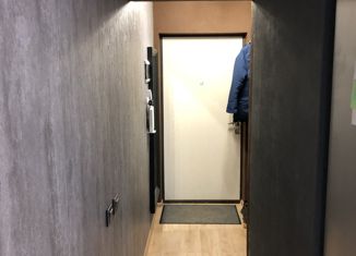 Квартира на продажу студия, 25 м2, Санкт-Петербург, проспект Ветеранов, 173к7, Красносельский район