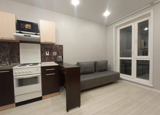 Продам квартиру студию, 21 м2, Новосибирск, улица Забалуева, 102/1