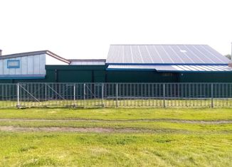 Продается дом, 95 м2, село Нижние Тимерсяны, Центральная улица