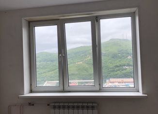 Продаю 1-комнатную квартиру, 18 м2, Владивосток, Сельская улица, 12, Первореченский район