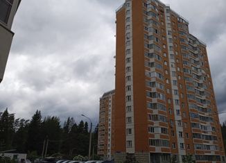 1-комнатная квартира на продажу, 38 м2, деревня Голубое, Родниковая улица, 2