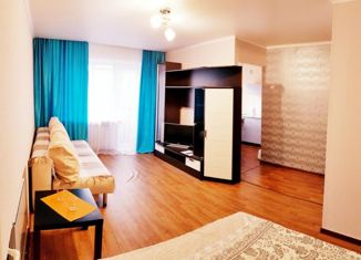 1-комнатная квартира на продажу, 30.1 м2, село Тополево, Школьная улица, 2