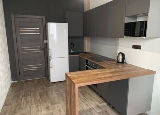 Продажа 1-комнатной квартиры, 40.6 м2, село Подстёпки, Школьная улица, 21