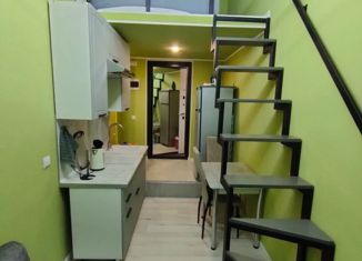 Продаю квартиру студию, 24 м2, Санкт-Петербург, улица Белинского, 11, улица Белинского