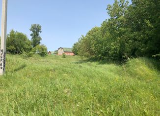 Продам земельный участок, 40 сот., село Нижние Прыски