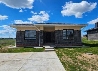 Продажа дома, 135 м2, деревня Чернышевка