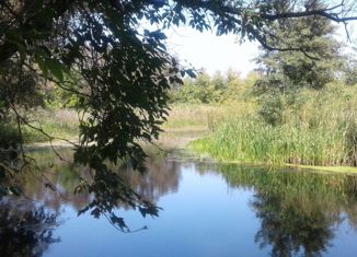 Земельный участок на продажу, 50 сот., село Горки, улица Терешковой