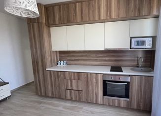 Продажа 1-ком. квартиры, 50 м2, Краснодар, Кубанская улица, 54, Кубанская улица