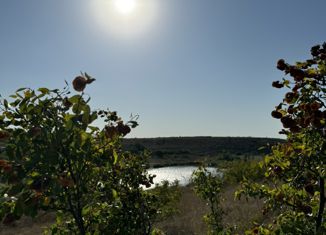 Продаю участок, 7 сот., село Маловидное