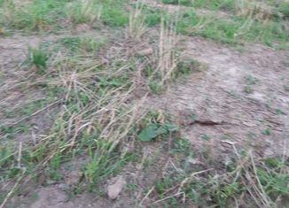 Продам земельный участок, 502 сот., деревня Крёкшино, Клубничная улица, 132