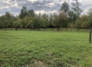 Продажа земельного участка, 10 сот., село Чемал, Советская улица