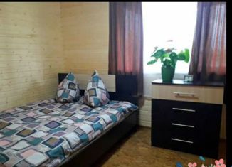 Продается дом, 85 м2, деревня Чудиново, деревня Чудиново, 45