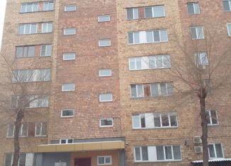 Продам 2-комнатную квартиру, 48 м2, Абакан, улица Чертыгашева, 146