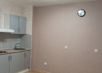 Сдается в аренду квартира студия, 24 м2, Мурино, улица Шувалова, 14, ЖК Созвездие