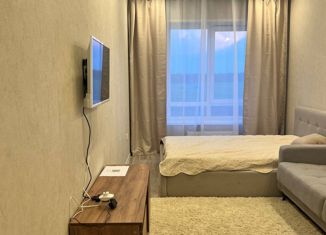 Аренда однокомнатной квартиры, 35 м2, село Новая Тура, Дорожная улица, 1