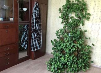 Продаю дом, 54 м2, деревня Ургун, Советская улица