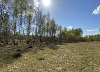 Продаю участок, 100 сот., поселок Гагарка, Берёзовая улица