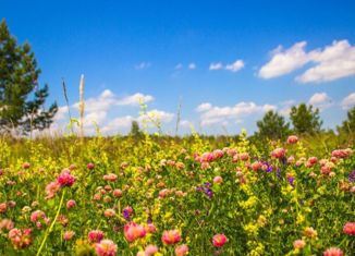 Участок на продажу, 5 сот., посёлок Пятидворка, улица Анисимова