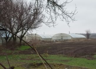 Продам участок, 50 сот., село Кошкино