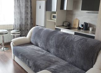 Продается 1-ком. квартира, 24.5 м2, Челябинск, улица Наркома Малышева, 3, жилой район Академ Риверсайд