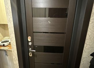 Продажа 1-комнатной квартиры, 17.1 м2, Чебаркуль, улица 9 Мая, 11