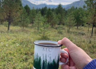 Продается участок, 100 сот., село Чепош, улица Кучияк