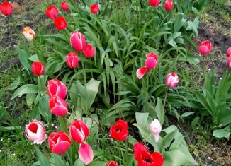 Продаю участок, 4 сот., садовое товарищество Шоссейное, Огородная улица, 45