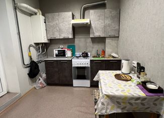 Продаю однокомнатную квартиру, 29.9 м2, Ставрополь, улица Тухачевского, 21/1, микрорайон Перспективный