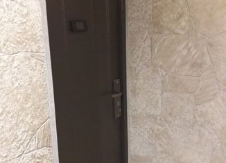 Продажа двухкомнатной квартиры, 45.2 м2, село Краснореченское, Центральная улица, 17