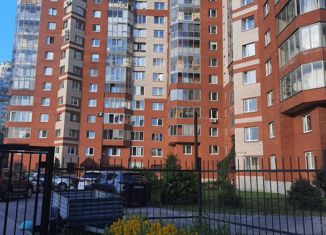 Продажа 1-ком. квартиры, 46 м2, Санкт-Петербург, улица Черкасова, 14, улица Черкасова