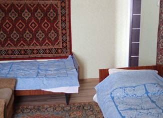 Продаю 1-комнатную квартиру, 30 м2, Орск, посёлок Новая Биофабрика, 82