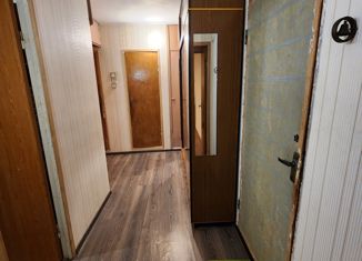 Двухкомнатная квартира на продажу, 50.3 м2, Санкт-Петербург, улица Хошимина, 7к3, улица Хошимина