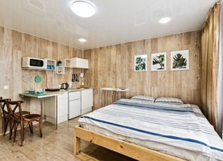 Продается квартира студия, 24.5 м2, Домодедово, улица Курыжова, 30