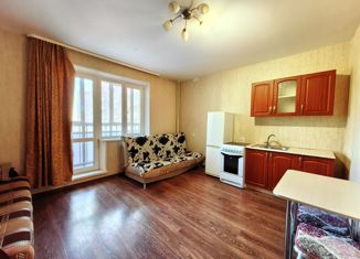 Продаю квартиру студию, 23.6 м2, Челябинск, улица Братьев Кашириных, 119, жилой район Академ Риверсайд