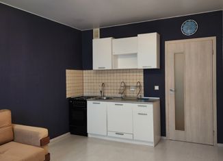 1-ком. квартира на продажу, 40.1 м2, Санкт-Петербург, улица Крыленко, 1к1с4, метро Елизаровская