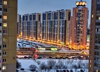 Продам двухкомнатную квартиру, 64 м2, Санкт-Петербург, Парашютная улица, 56к3, ЖК Каменка